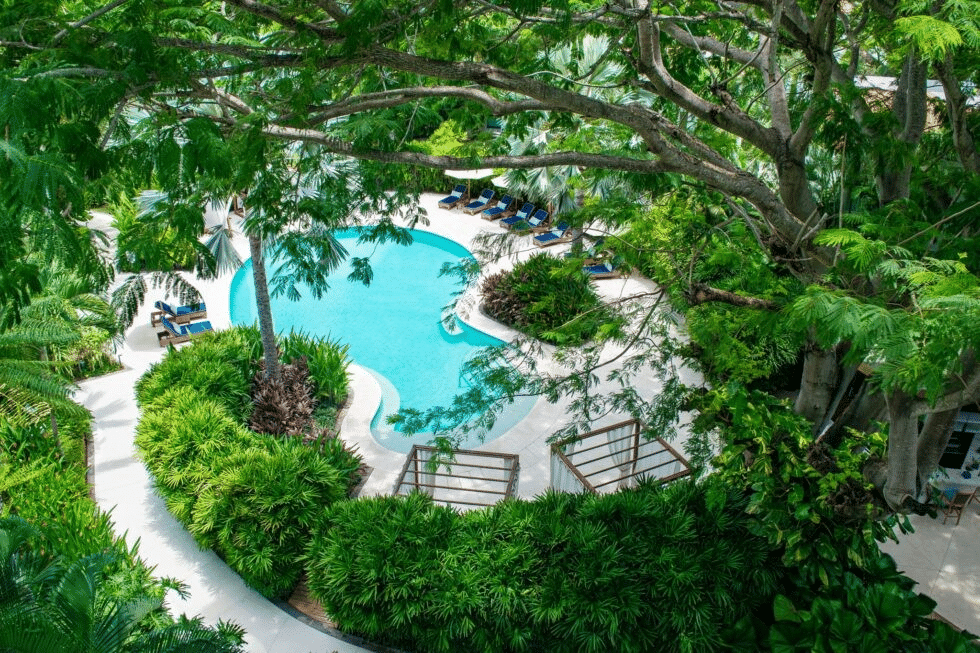 Exploring Selvara Signature Collection: Unique Experiences Just a Short Drive Away in Nayarit, Mexico